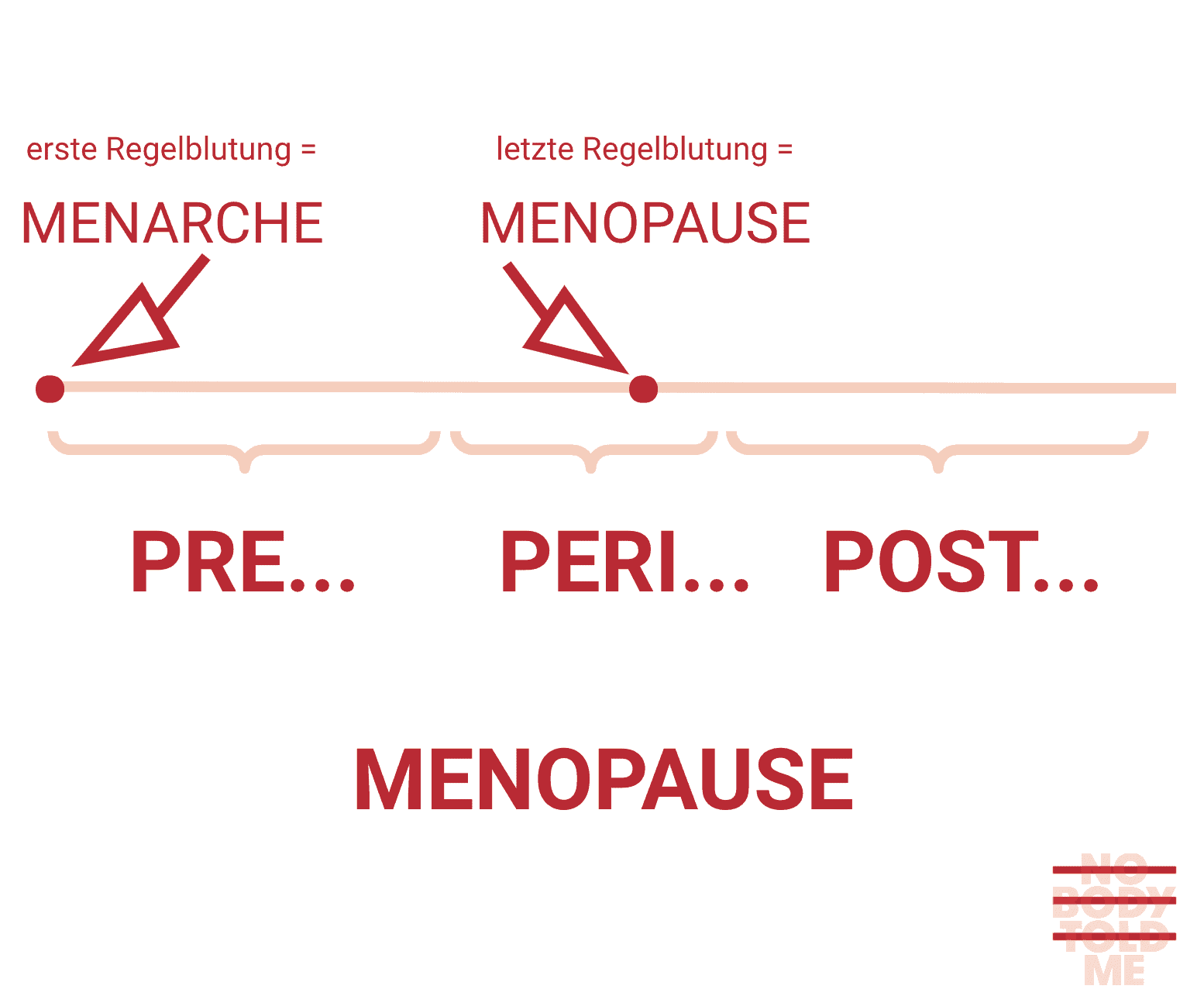 Phasen der Menopause: Perimenopause, Menopause, Postmenopause. Wir sind in den Wechseljahren, wenn unsere Regelblutung mindestens 12 Monate ausbleibt