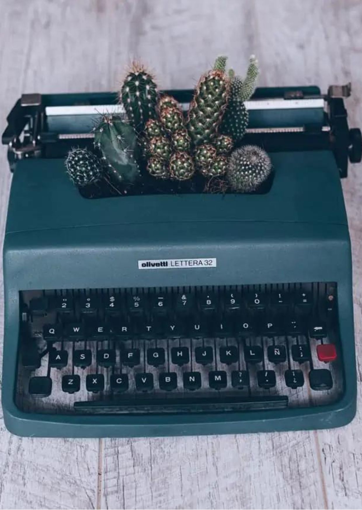 Schreibmaschine auf Holzboden mit Kakteen in der Schreibschiene