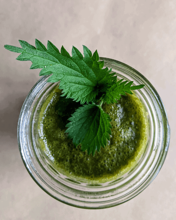 Green smoothie in glass jar with nettle