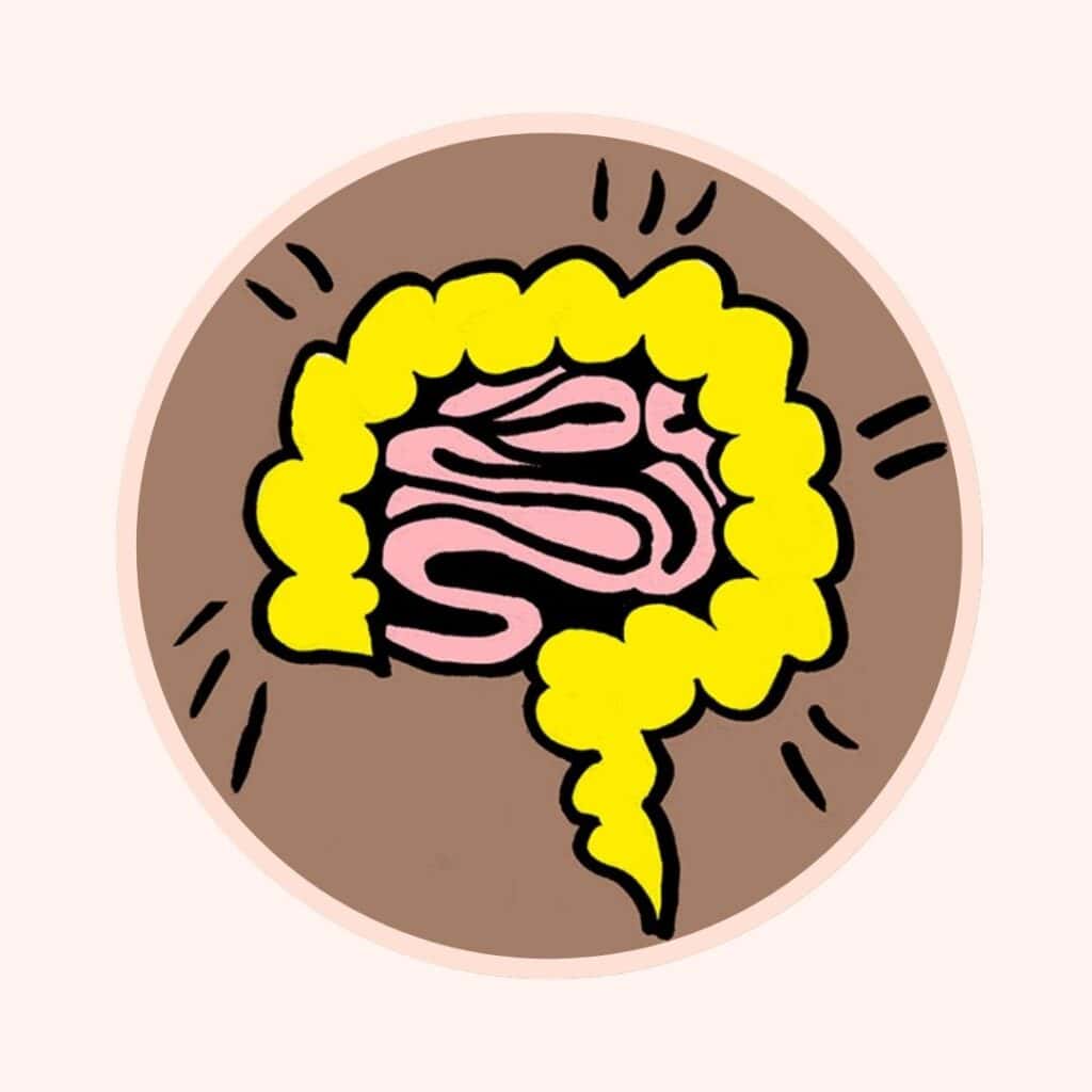 Verdauungsprobleme I Illustration_ Anja von Bodecker