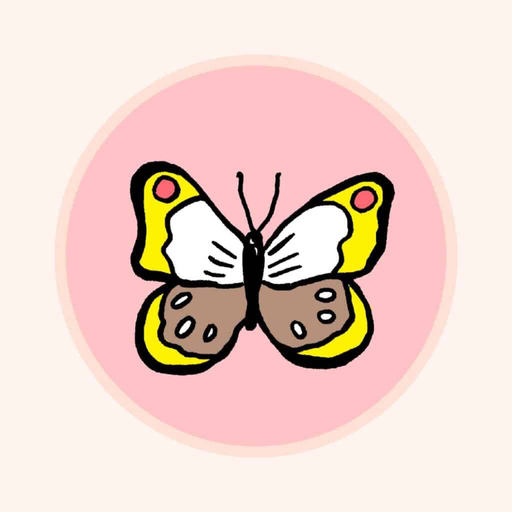 Schmetterling I Illustration Anja von Bodecker