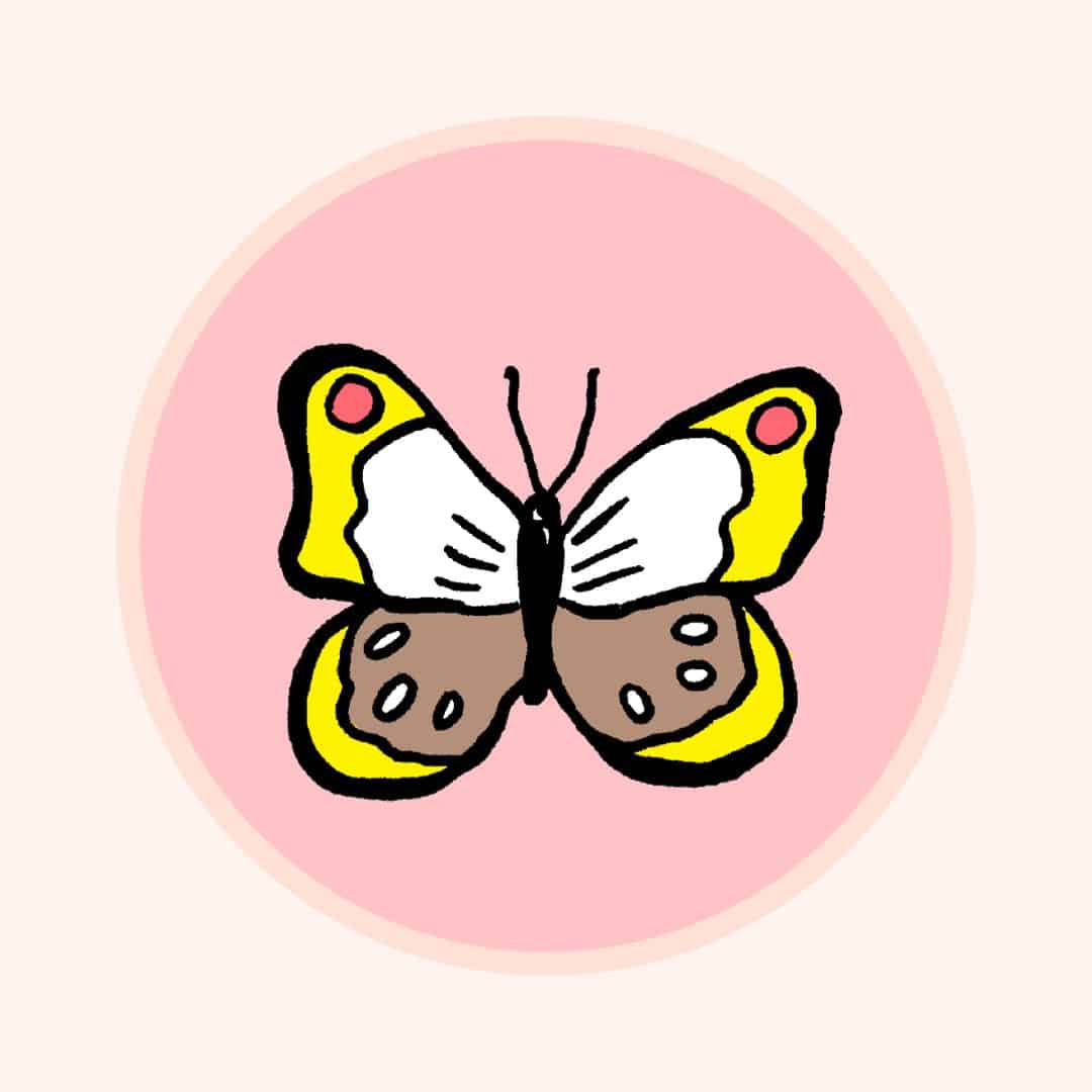 Schmetterling I Illustration Anja von Bodecker