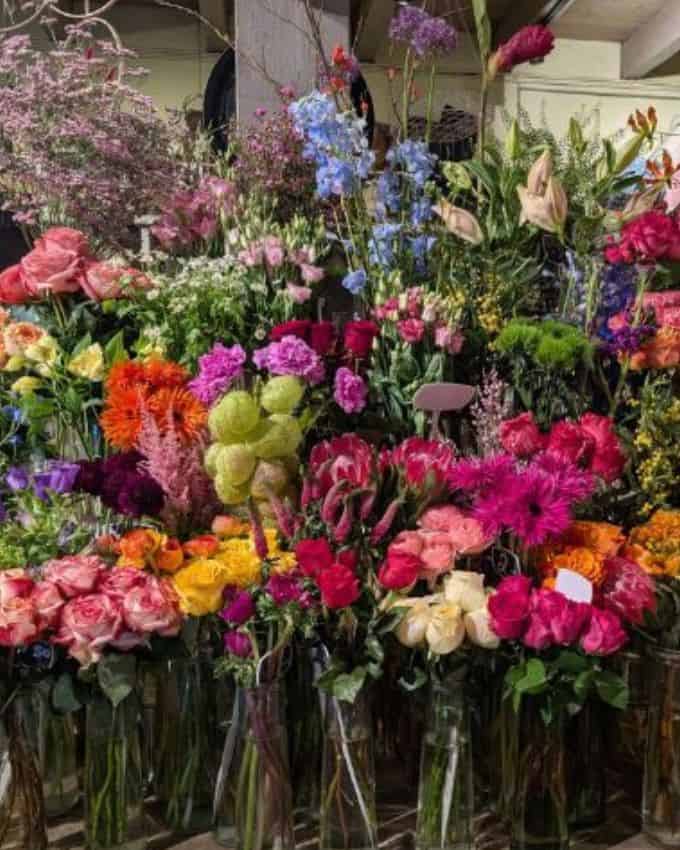 Schnittblumen