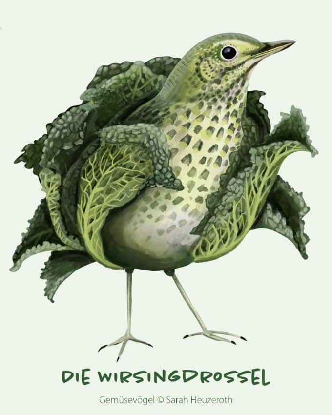Gemüsevögel