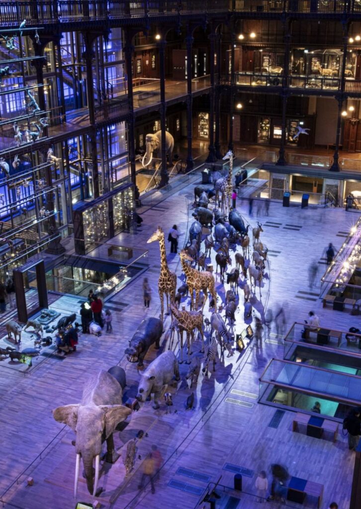 Naturkundemuseum Paris