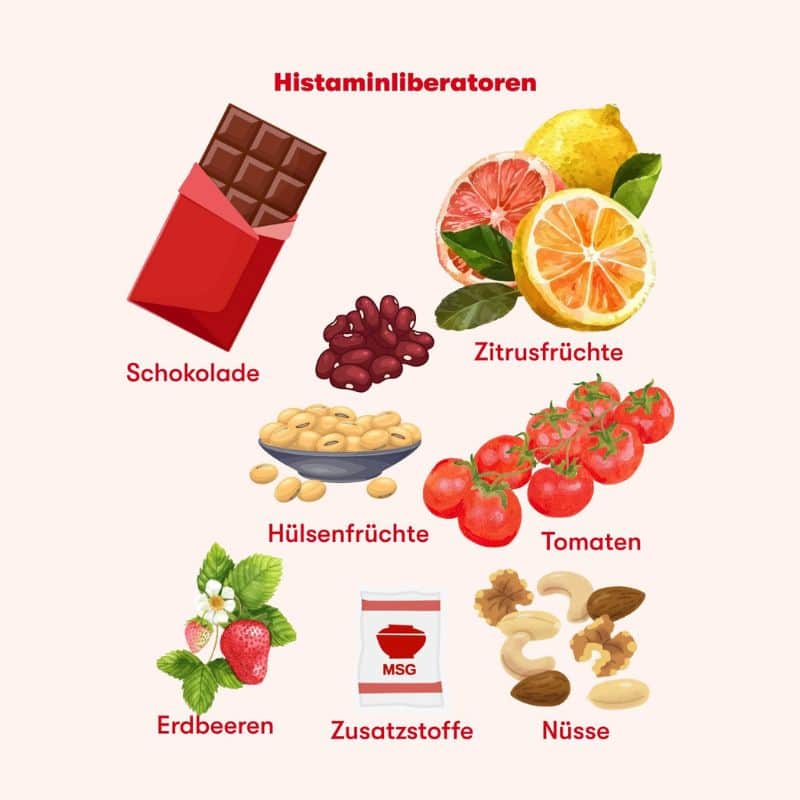 Abbildung typischer Histaminliberatoren – Lebensmittel, die die Freisetzung von Histamin fördern, darunter Schokolade, Zitrusfrüchte, Hülsenfrüchte, Tomaten, Erdbeeren, Zusatzstoffe und Nüsse.