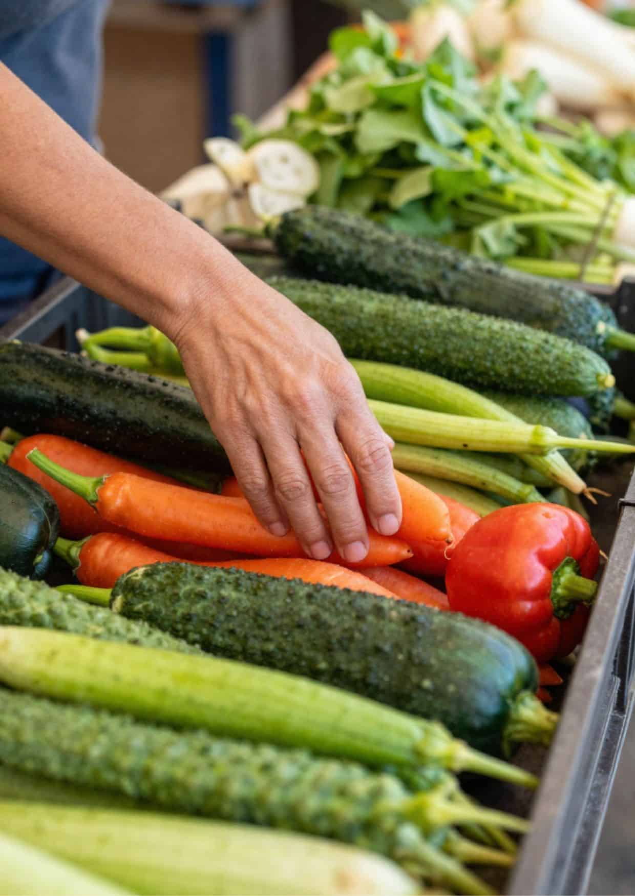 Carolas Body Reset Erfahrungsbericht nach 21 Tagen