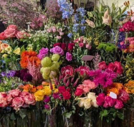 Schnittblumen