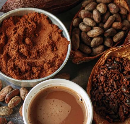 Verschiedene Kakaoformen auf einem Tisch: Kakaoschoten, Kakaobohnen, Kakaonibs, eine Schale mit Kakaopulver und eine Tasse heißer Kakao als Darstellung von Kakao-Produkten und ihrer natürlichen Vielfalt.