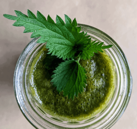 Grüner Smoothie in Glasgefäß mit Brennessel