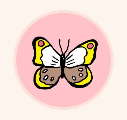 Schmetterling I Illustration Anja von Bodecker