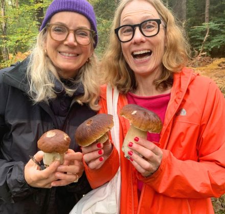 Steinpilze gefunden mit Baets