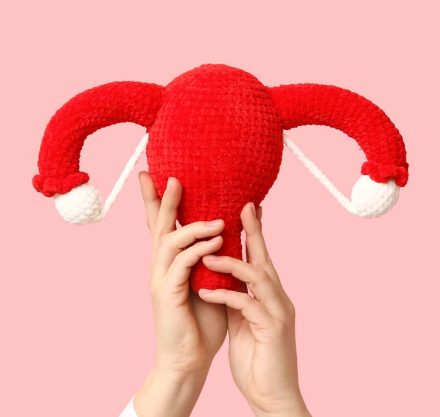 Uterus