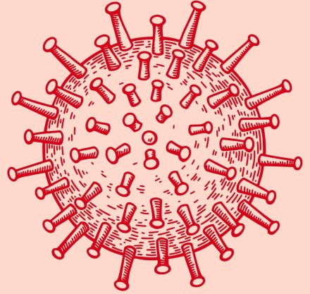 herpes simplex virus